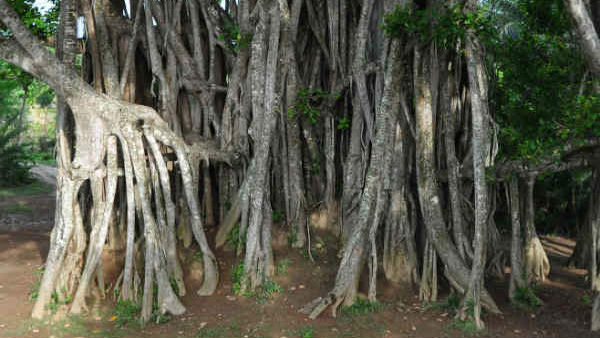 Short moral story for children: Choose your friends wisely Short moral story for children: Choose your friends wisely