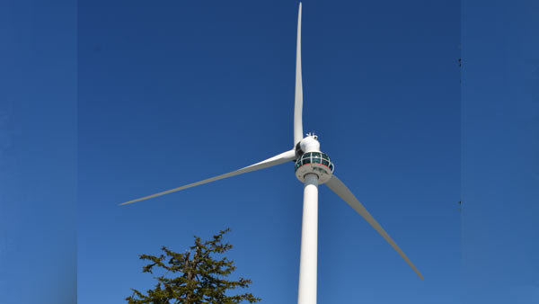 ಲೋಸ್ಟ್ ಲಗೂನಿನ ತೀರದ ಬೆಂಚಿನಲ್ಲಿ 