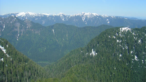 ದಿನ 3: ಕೆಪಿಲಾನೊ ತೂಗು ಸೇತುವೆ