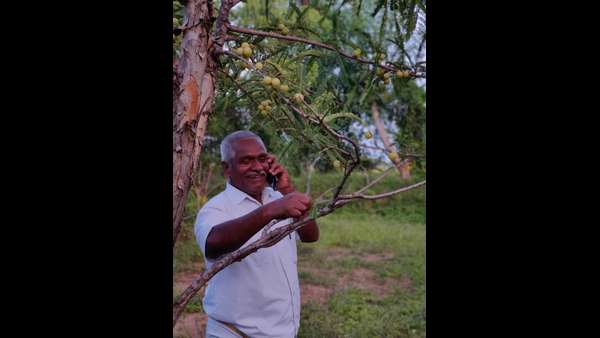  ಬರಗಾಲದ ನಡುವಿನ ಪ್ರಾಯೋಗಿಕ ಕೃಷಿ