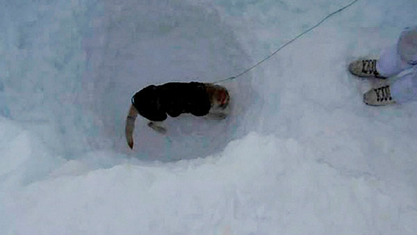 1989ರಲ್ಲೇ ಮಿಲಿಟರಿ ಮುಕ್ತವಾಗಬೇಕಿತ್ತು 