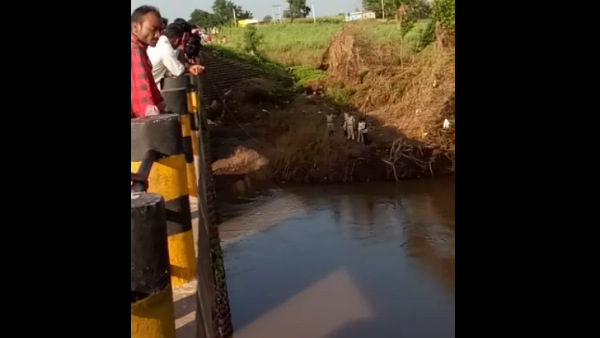 A couple Jump Into River For Suicide. 