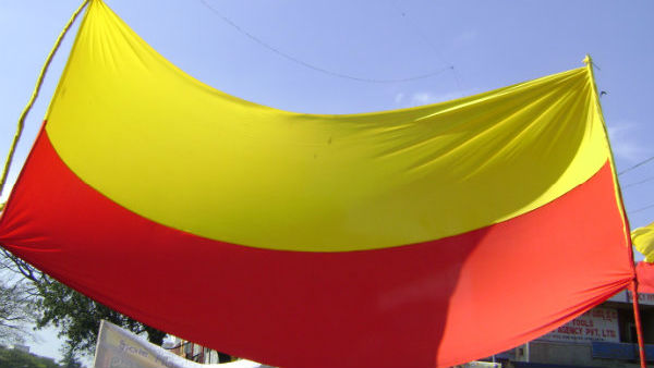 ಹಳದಿ, ಕೆಂಪು ಬಣ್ಣದ ಧ್ವಜ, ನಮ್ಮ ಸಾಂಸ್ಕೃತಿಕ ಧ್ವಜವಾಗಿತ್ತು 