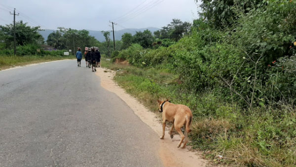 Dogs Padayatra To Sabarimala 
