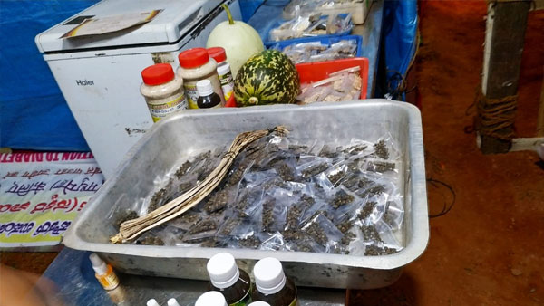 ಇಂಜಿನಿಯರಿಂಗ್ ಪದವಿಧರ 