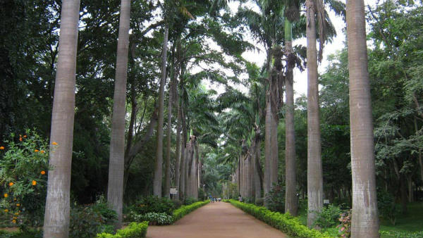  1976ರಲ್ಲಿ ಮೃಗಾಲಯ ಪ್ರಾಧಿಕಾರದ ವ್ಯಾಪ್ತಿಗೆ ಕೆರೆ