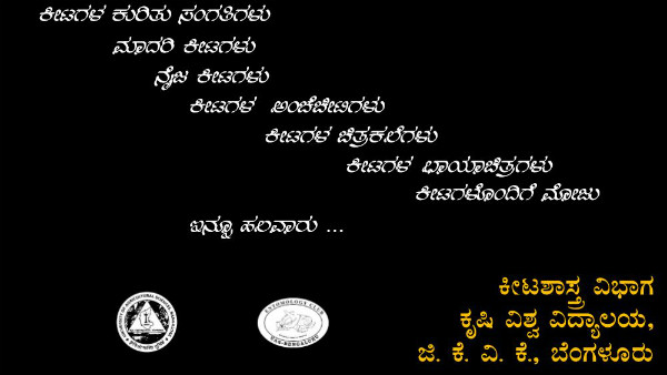 Keetavismaya 2.0 An Exhibition on Insect.