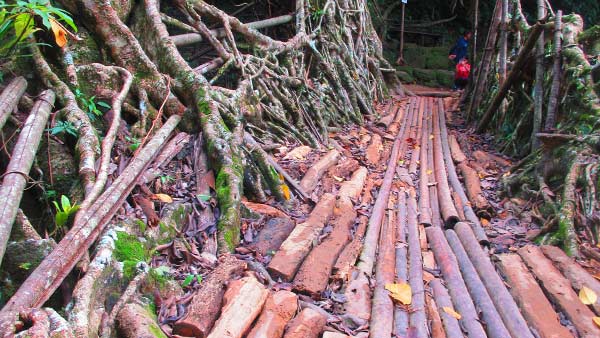  ಪಾರಂಪರಿಕ ವಸ್ತುಗಳು ಉಳಿದುಕೊಂಡಿರಲಿ 