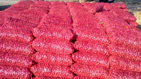 ಈರುಳ್ಳಿ ಬೆಲೆ ಬಗ್ಗೆ ಗಮನಿಸಬೇಕಾದ ಅಂಶಗಳು 