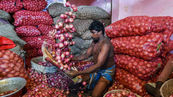 ಬೆಲೆ ಇಳಿಕೆಯಾದ ನಂತರ ರಫ್ತು ಆರಂಭ
