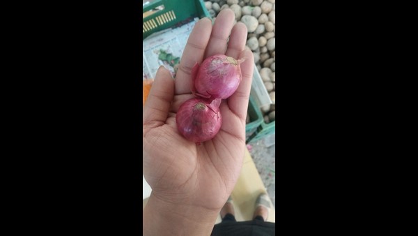 ದುಬಾರಿ ಶಾಪಿಂಗ್