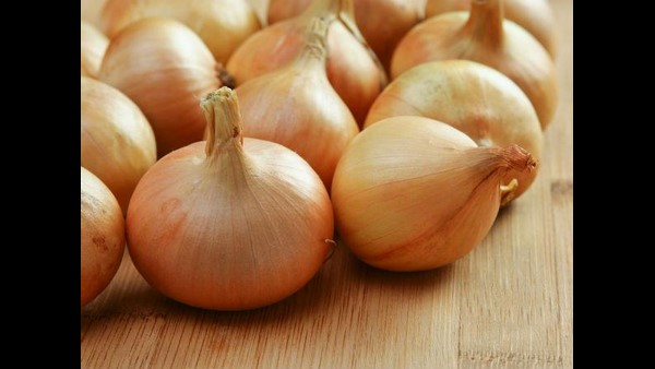 ಮುಗ್ಧ ಮಗುವಿನ ಪತ್ರ