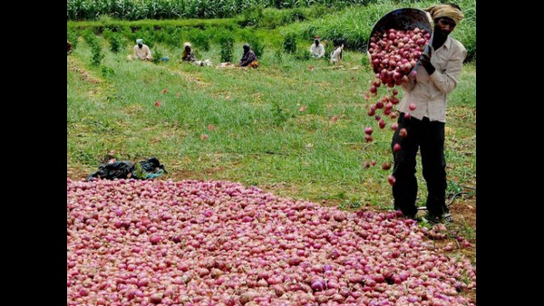 ಬಿತ್ತಿದ ಬೆಳೆಯಲ್ಲ ನೀರು ಪಾಲು