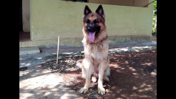  2015ಕ್ಕೆ ಬಂಡೀಪುರಕ್ಕೆ ಬಂದ ರಾಣಾ