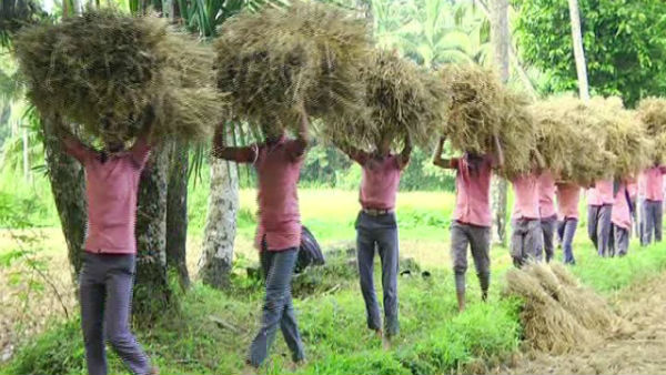  ಮಕ್ಕಳಿಗೆ ಪ್ರಕೃತಿಯ ಒಡನಾಟ