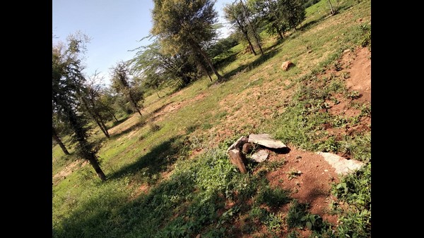  ಸಿರಿಯಜ್ಜಿಗೆ ಅವಮಾನ ಮಾಡಿದಂತಲ್ಲವೇ?