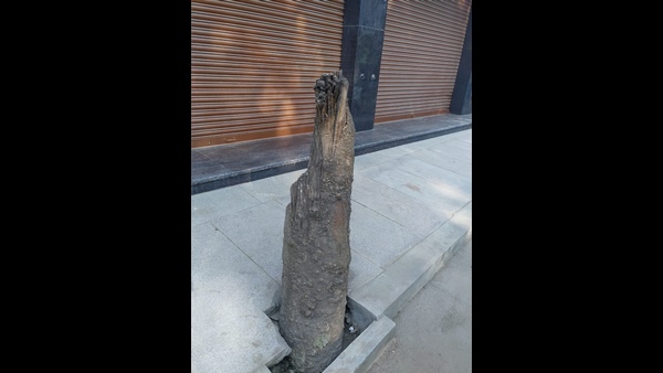 ಮನೆ ನಿರ್ಮಿಸುವಾಗ ಎರಡು ಮರ ಕಡಿದಿದ್ದರು