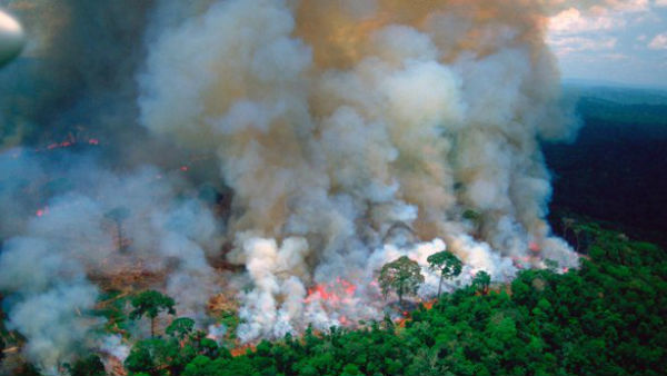  #amazonforestfire