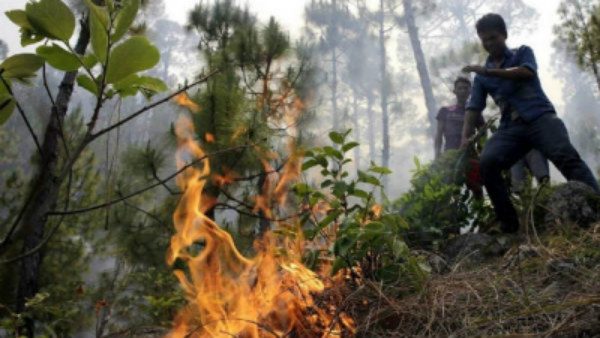 ಈ ಬಾರಿ ಫೈರ್ ವಾಚರ್ಸ್ ಗೆ ಇಲಾಖೆಯಿಂದಲೇ ಜೀವವಿಮೆ 