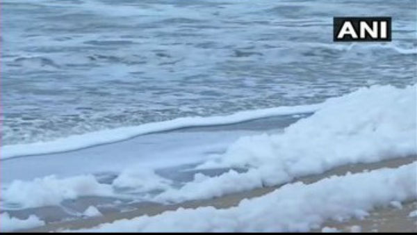 Tamil Nadu: Sea At Marina Beach In Chennai Spills Toxic Foam