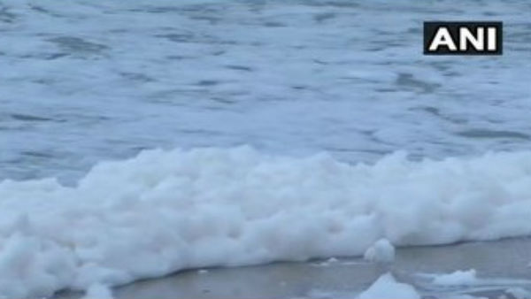Tamil Nadu: Sea At Marina Beach In Chennai Spills Toxic Foam
