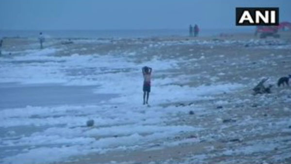 Tamil Nadu: Sea At Marina Beach In Chennai Spills Toxic Foam