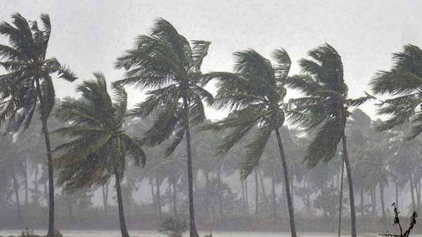  #cyclonefani 
