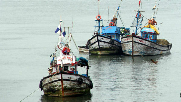 Department of Animal Husbandry and Fisheries Enforced Legal Size For Fish Hunting Department of Animal Husbandry and Fisheries Enforced Legal Size For Fish Hunting