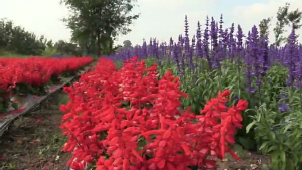  ವರ್ಷಕ್ಕೆರಡು ಬಾರಿ 4 ಲಕ್ಷ ಲಾಭ