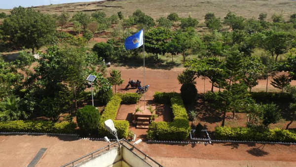 40-50 ಜಾತಿಯ ಗಿಡಗಳು