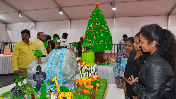 ಡಿಸೈನರ್ ಕ್ರಿಸ್‌ಮಸ್‌ ಕೇಕ್‌ ಶೋ: 