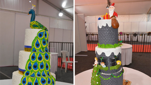 ಅಮ್ಯೂಸ್‌ ಮೆಂಟ್‌ ಮತ್ತು ಫನ್‌ ಝೋನ್‌ 