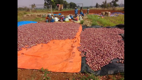 ನ್ಯಾಯಯುತ ಬೆಲೆ ಸಿಗುತ್ತಿಲ್ಲ