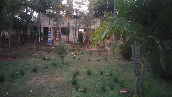 ಪಕ್ಷಿಗಳನ್ನು ಸಾಕಲಾಗಿದೆ