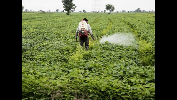 ಪಶ್ಚಿಮ ಬಂಗಾಳದಲ್ಲಿ ರೈತರಿಗೆ ಮೂರು ಪಟ್ಟು ಆದಾಯ 