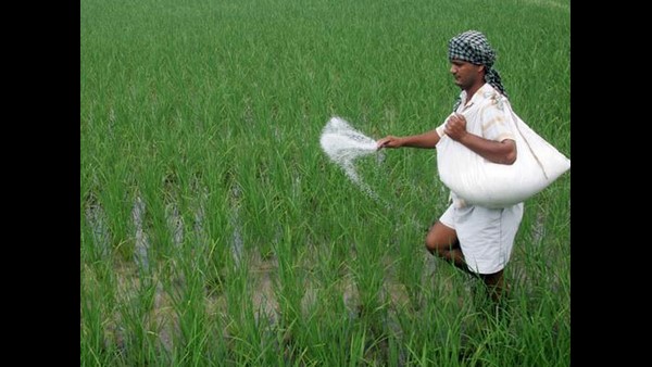 ಕಳೆದ ಎಂಟು ವರ್ಷದಲ್ಲಿ 2.5ರಷ್ಟು ಹೆಚ್ಚಳ 
