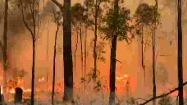 ವೃತ್ತಿಪರ ಶೂಟರ್‌ಗಳು