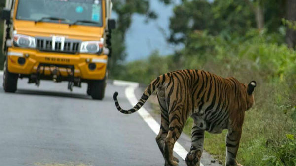  ವೈಜ್ಞಾನಿಕ ಅಧ್ಯಯನವಿಲ್ಲದೆ ಸಂಚಾರ ನಿಷೇಧ