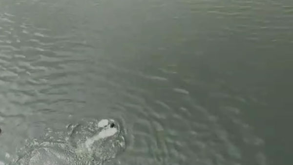 Video Of A Boy who Jumped Into Vv Sagar Dam To Make Tik Tok Is Viral