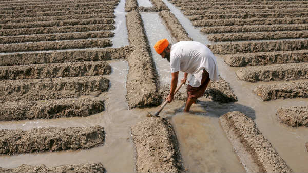 ಬೇಸಾಯದ ವಿಧಾನಗಳು