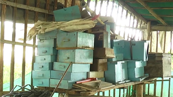  50ಕ್ಕೂ ಹೆಚ್ಚು ಜೇನು ಕುಟುಂಬ ಸಾಕಣೆ