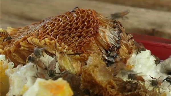  ವಾರಕ್ಕೊಮ್ಮೆ ಪರೀಕ್ಷೆ ಕಡ್ಡಾಯ