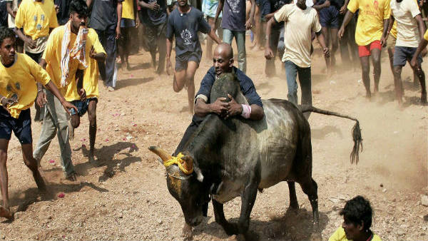 ಫಿಟ್ ನೆಸ್ ಸರ್ಟಿಫಿಕೇಟ್ ಉಳ್ಳವರಿಗೆ ಮಾತ್ರ ಅವಕಾಶ 