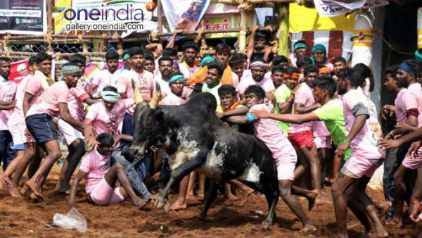 ಫಿಟ್ ನೆಸ್ ಸರ್ಟಿಫಿಕೇಟ್ ಉಳ್ಳವರಿಗೆ ಮಾತ್ರ ಅವಕಾಶ 