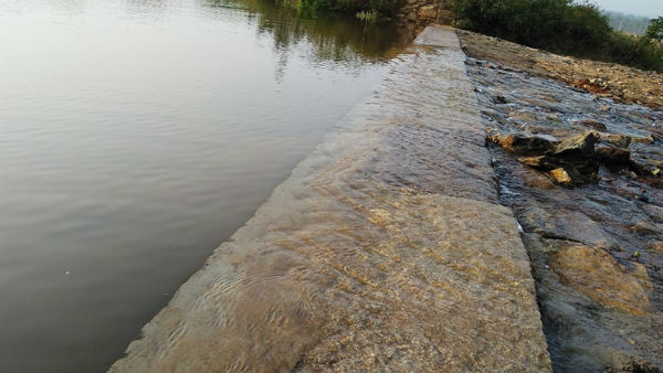  Lakes Around Gundlupete Filled And Farmers Are Happy