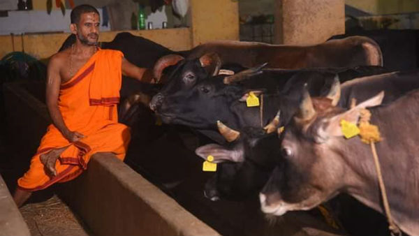  ಅಲ್ಲಿಗೆ ಬಂದು ಸೇರುತ್ತಿರುವ ಗೋವುಗಳೇ ನಮ್ಮ ಯೋಜನೆಯನ್ನು ವಿಸ್ತರಿಸುತ್ತಿವೆ