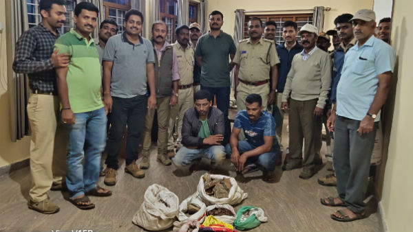 Illegal Red Ruby Menance Reappeared In Pattighat Reserve Forest