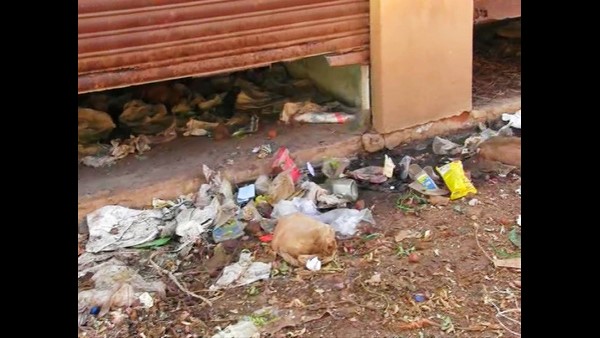  ಹಾಳುಕೊಂಪೆಯಾಗಿರುವ ಮಳಿಗೆಗಳು