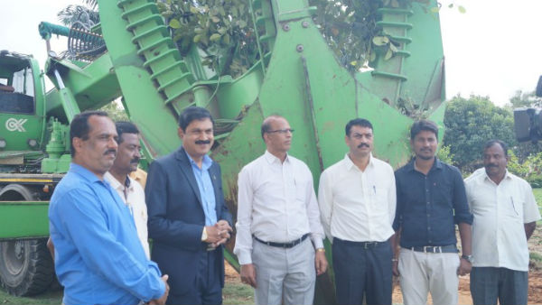 250 Trees Lifted In Adichunchanagiri Medical College 250 Trees Lifted In Adichunchanagiri Medical College