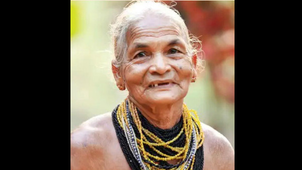 ಬೀಜಗಳನ್ನು ಶೇಖರಣೆ ಮಾಡುತ್ತಿದ್ದ ತುಳಸಿಗೌಡ